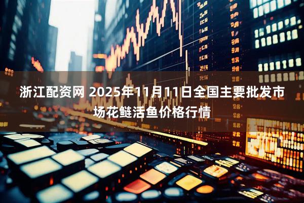 浙江配资网 2025年11月11日全国主要批发市场花鲢活鱼价格行情