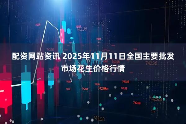 配资网站资讯 2025年11月11日全国主要批发市场花生价格行情