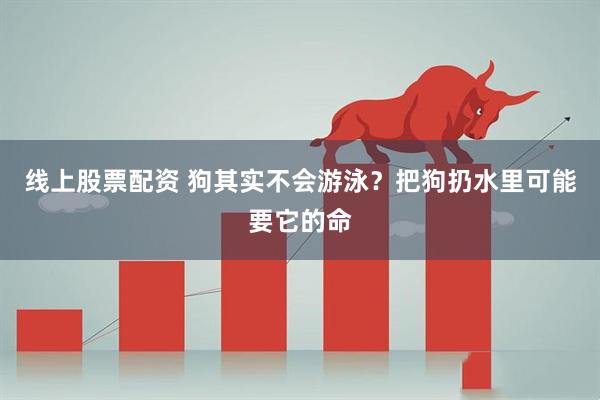 线上股票配资 狗其实不会游泳？把狗扔水里可能要它的命
