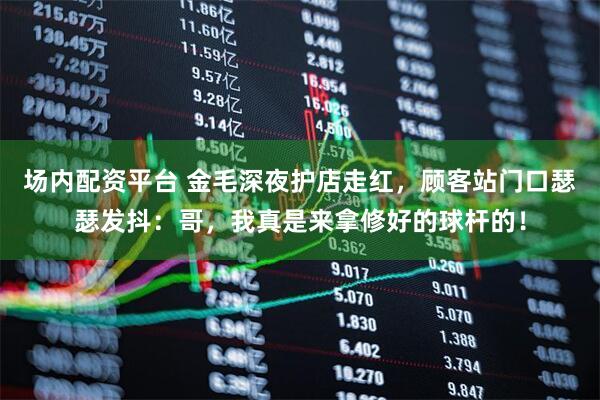 场内配资平台 金毛深夜护店走红，顾客站门口瑟瑟发抖：哥，我真是来拿修好的球杆的！
