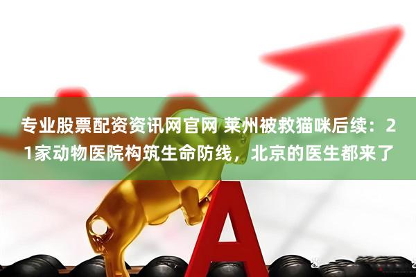 专业股票配资资讯网官网 莱州被救猫咪后续：21家动物医院构筑生命防线，北京的医生都来了