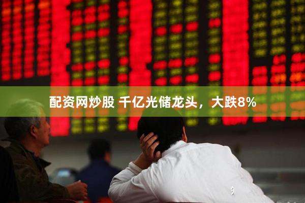配资网炒股 千亿光储龙头，大跌8%