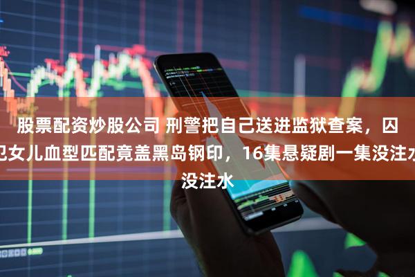 股票配资炒股公司 刑警把自己送进监狱查案，囚犯女儿血型匹配竟盖黑岛钢印，16集悬疑剧一集没注水